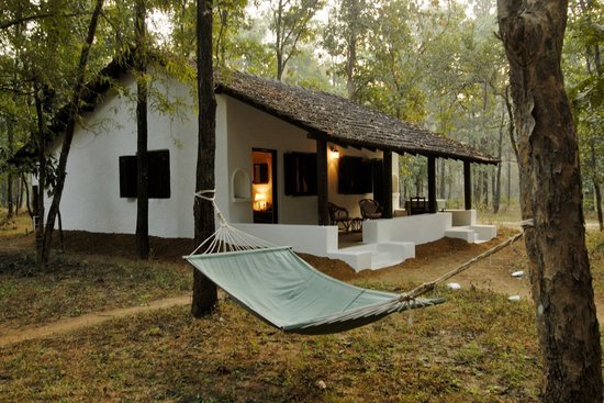 You are currently viewing Kipling Camp, Kanha